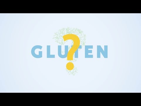 What are gluten?