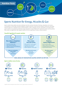 BENEO Institute infographic on sports nutrition, highlighting Palatinose™, faba bean and rice proteins, and prebiotic inulin and oligofructose for sustained energy, muscle recovery, hydration and gut health.