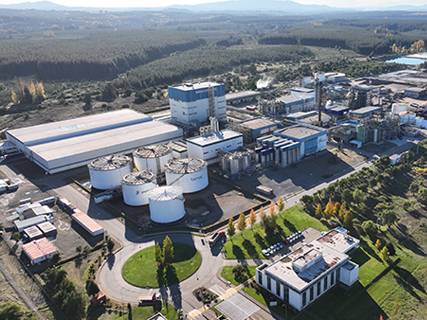 Vista aérea de las instalaciones de BENEO rodeadas de áreas verdes, dedicadas a la producción de ingredientes funcionales