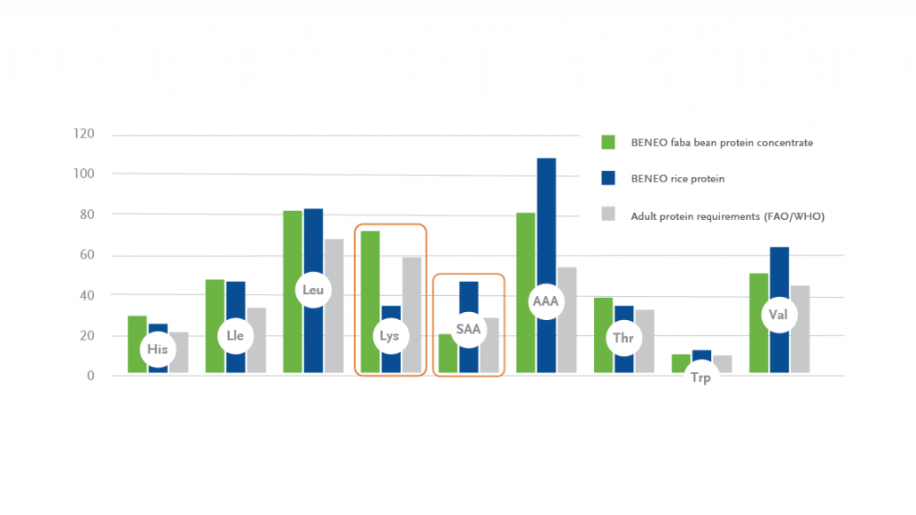Bar chart comparing plant-based protein quality of BENEO faba bean and rice proteins versus FAO/WHO amino acid requirements.
