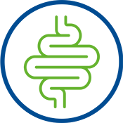 icono-salud-digestiva