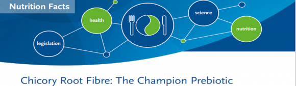 Nutrition facts banner linking health, science and nutrition concepts around Chicory Root Fibre
