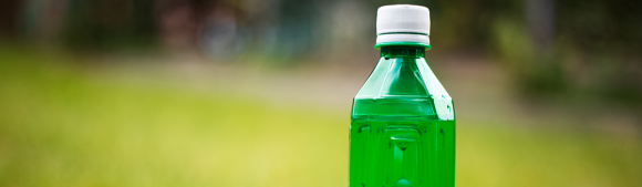 Green bottled beverage formulated with sugar replacement for reduced-sugar drink applications