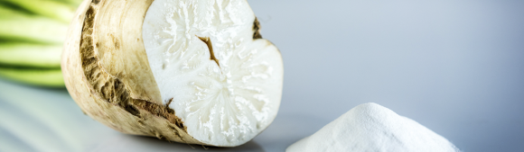 Chicory root and white ingredient powder used in natural sugar replacement solutions